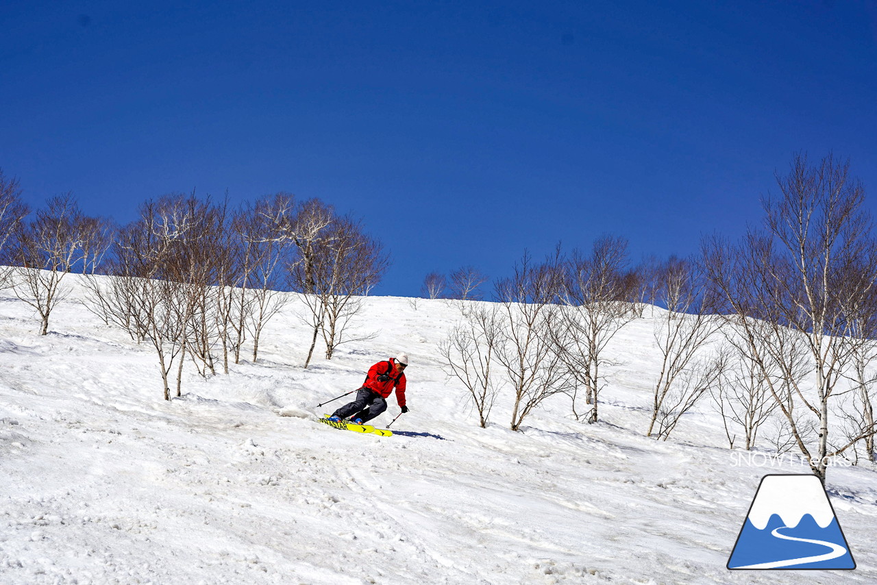 ニセコグラン・ヒラフ DYNASTAR SKI TEST RIDE DAYS Photo Session!!最高の天気に恵まれたニセコに、最高の仲間たちが集まりました☆